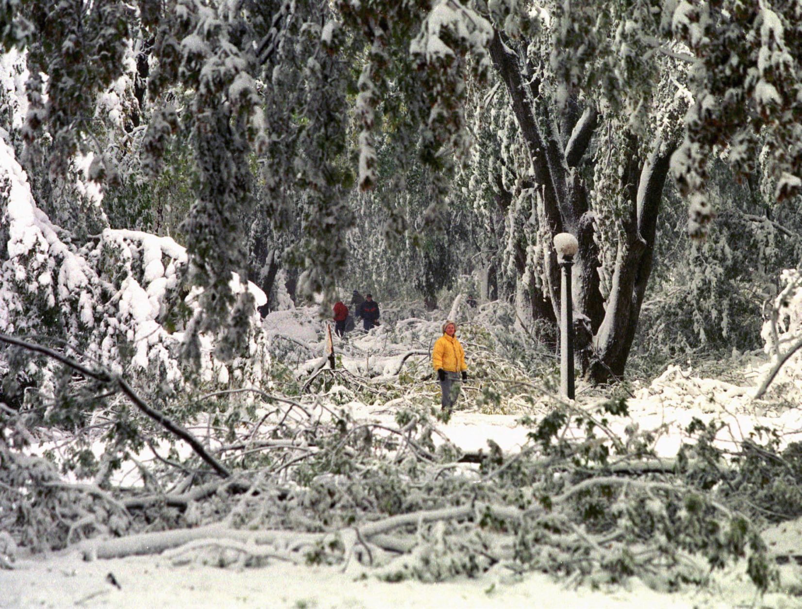 People view the damage to snow-covered trees at 46th and Poppleton Streets .